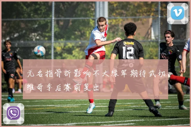 无名指骨折影响不大绿军期待武切维奇季后赛前复出